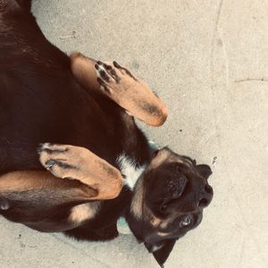 Meet your Posher, Dave